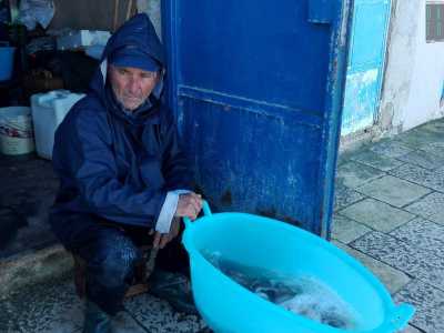 Il pescatore 68enne Vito Donato, alle prese con "l'arricciamento" dei polpi